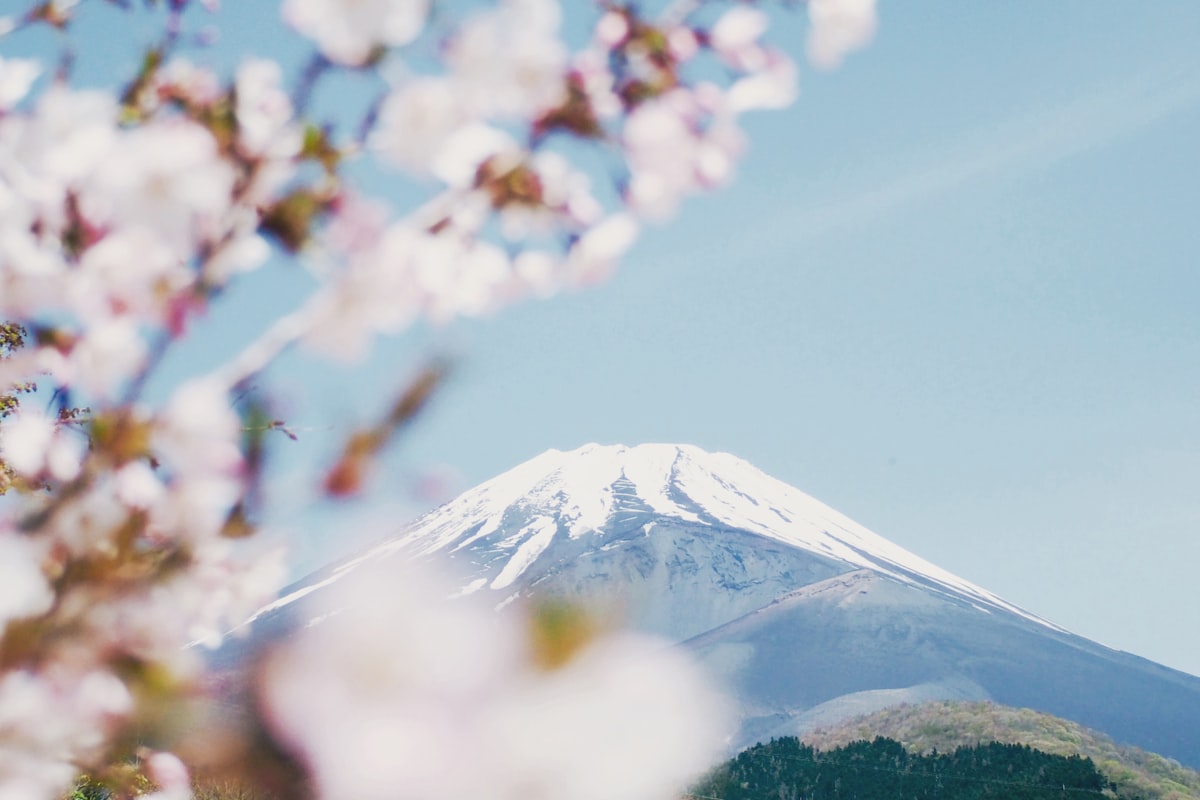 日本ツアー
